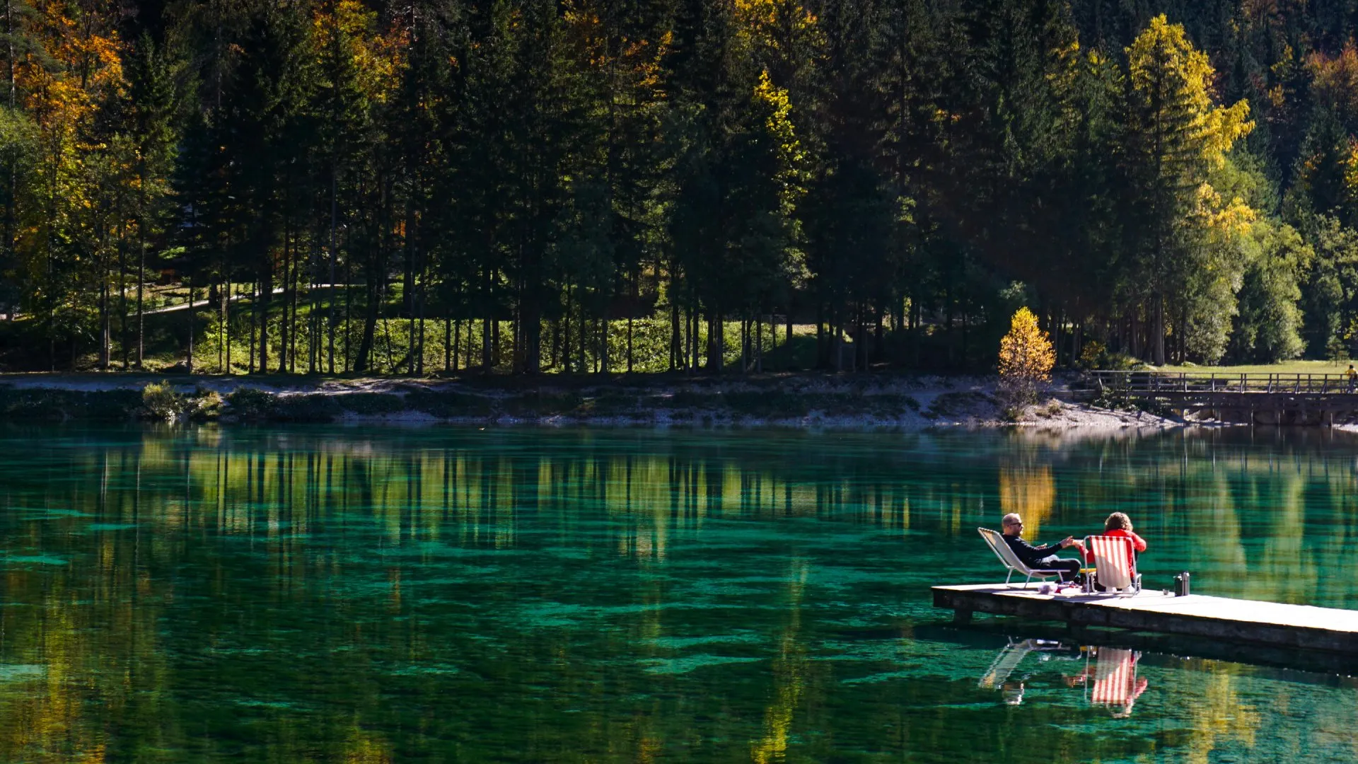 Mastering the Art of Aquatic Life